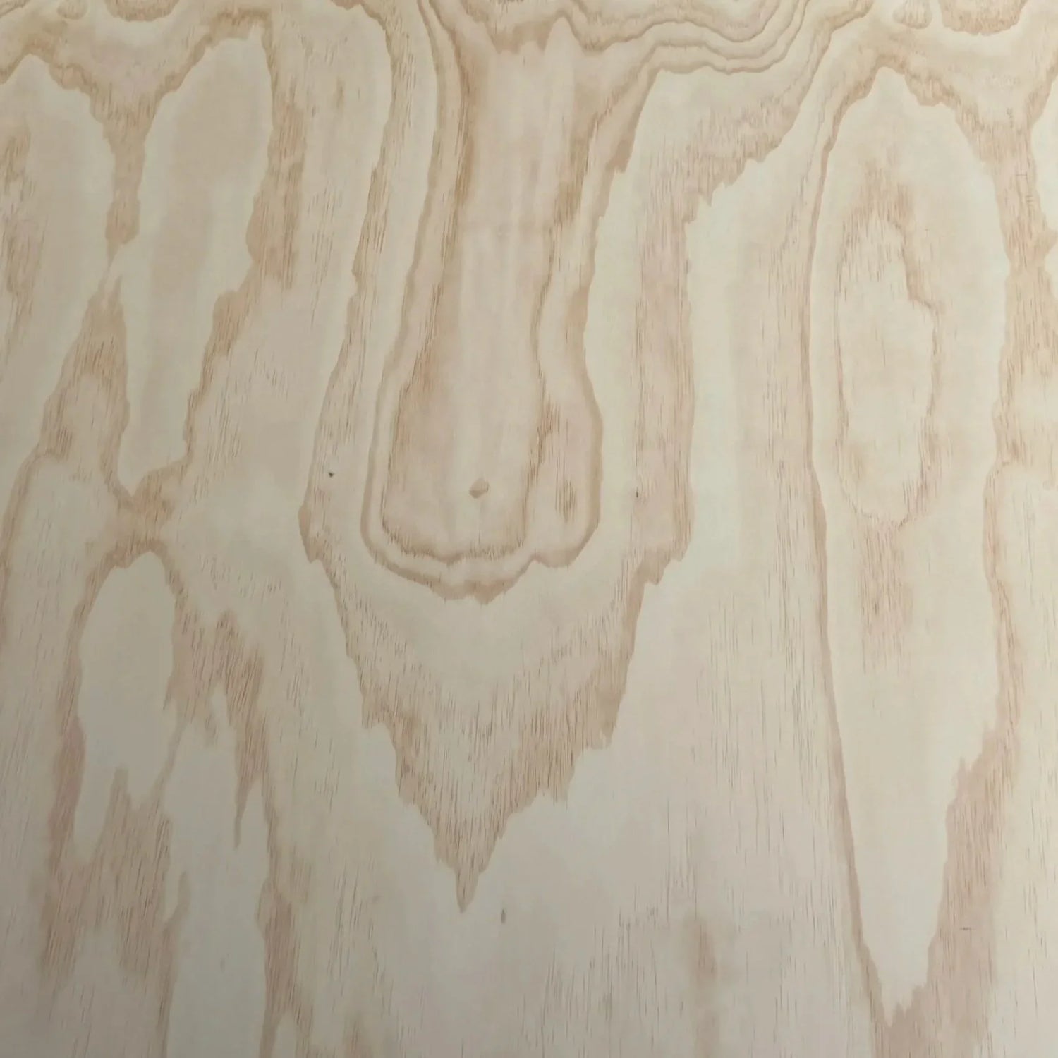 Structural Plywood - B/C